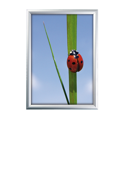 ALU SNAP FRAME 25mm (G) A3 alu