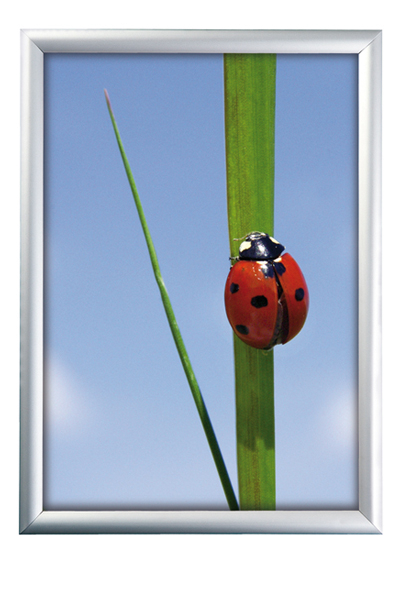 ALU SNAP FRAME 25mm (G) Poster size 68
