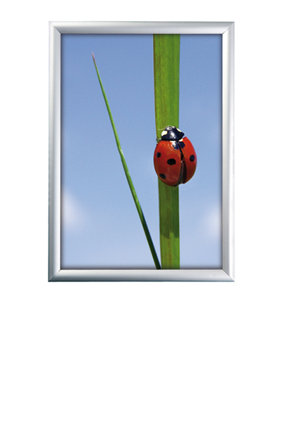 ALU SNAP FRAME 25mm (G) A2 alu