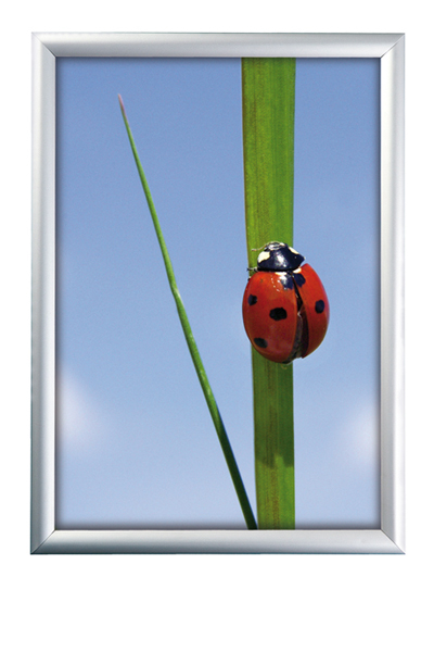 ALU SNAP FRAME 25mm (G) A1 alu