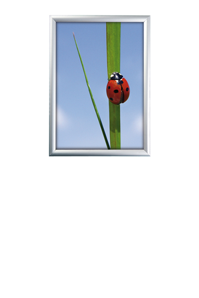 ALU SNAP-FRAME 25mm (G) A4 alu